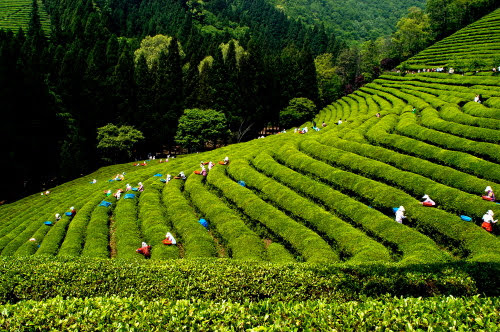 V/A + 을까/ㄹ까 봐 Lo lắng hoặc sợ hãi về việc một hành động hay một trạng thái nào đó sẽ diễn ra.