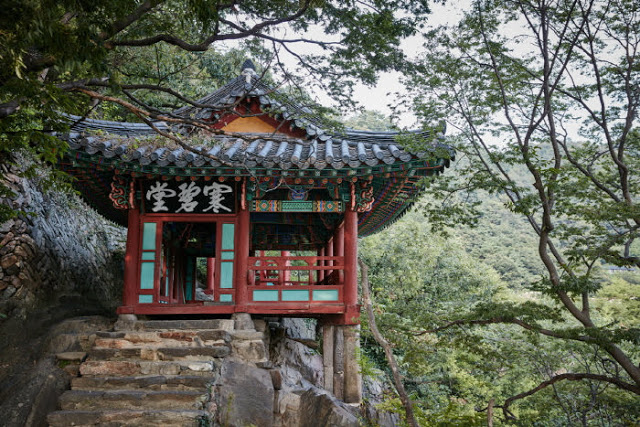 N으로는/로는