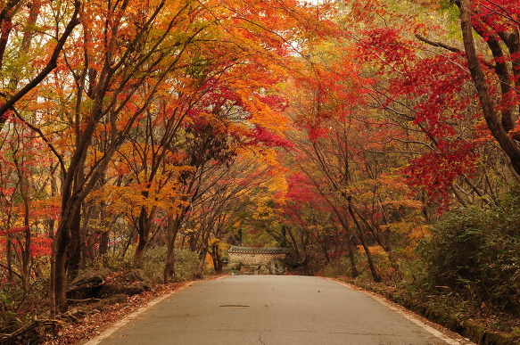 [Gwangju] Công viên quốc gia núi Mudeungsan (무등산국립공원)