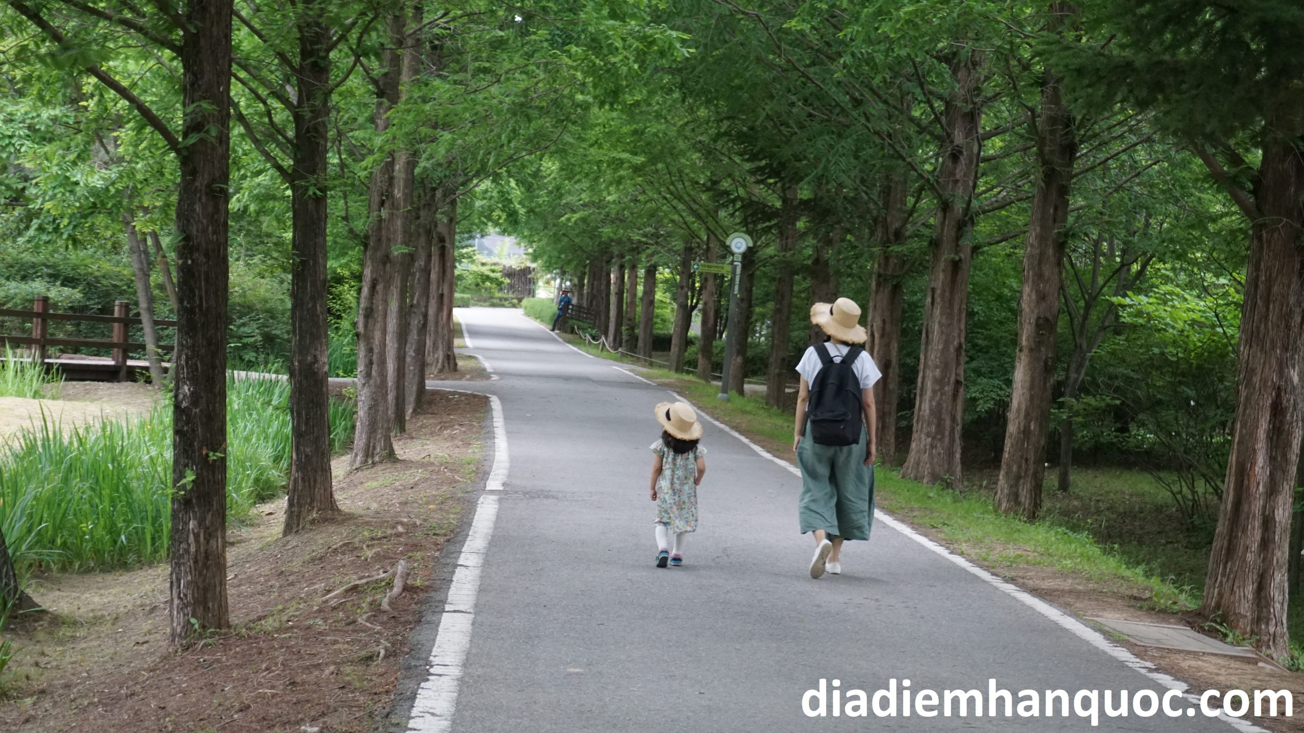 V/A + 어서/아서/여서¹ Nội dung ở vế trước là nguyên nhân, lí do cho nội dung ở vế sau
