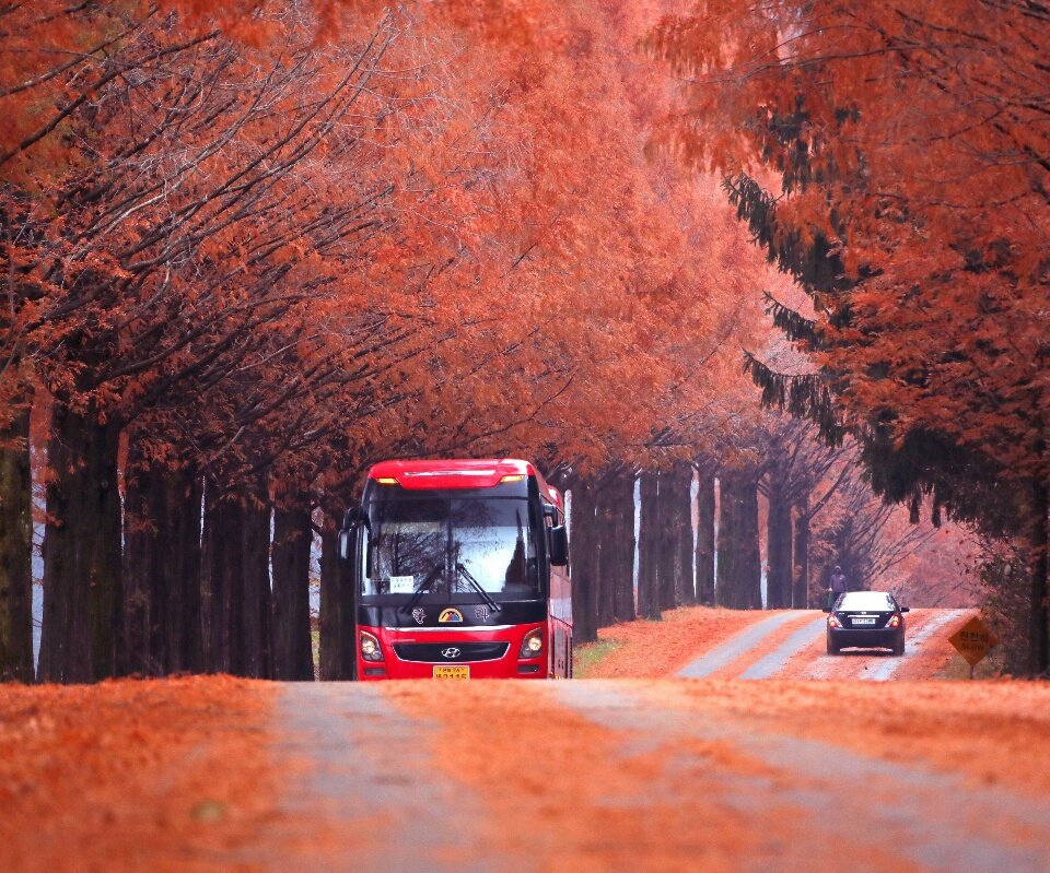 N뿐만 아니라 Diễn tả việc thêm một điều khác nữa ngoài điều được nhắc đến ở vế trước.