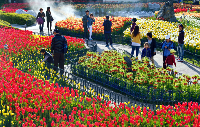 Everland, Seouland và Lotte Word: Công viên trò chơi ở Hàn Quốc với những lễ hội hoa xuân và nhân vật hoạt hình