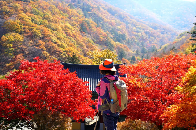 Chùa Baengnyeonsa (백련사) núi Deokyusan (덕유산국립공원 – 전라북도)