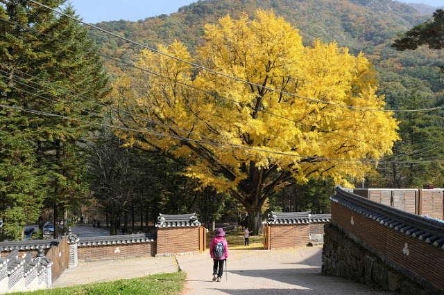 Thác Seryeom (세렴폭포) núi Chiaksan (치악산국립공원 – 강원도)