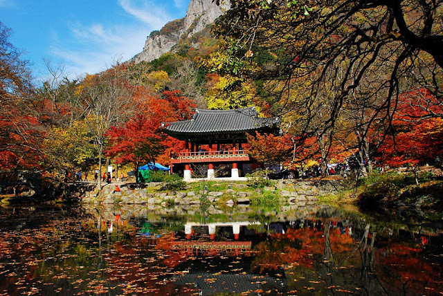 Thung lũng Baegyang (백양계곡) núi Naejangsan (내장산국립공원 – 전라북도)