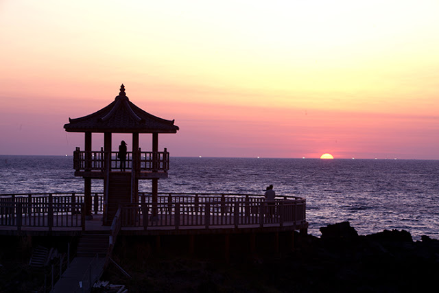 Hãy đến đảo Jeju (제주도) có hoa, biển và ngôi sao vào tháng 6
