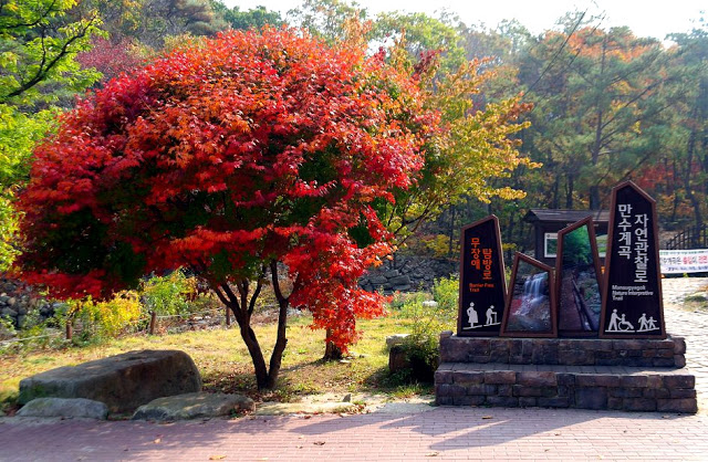 Thung lũng Mansu (만수계곡 자연관찰로) núi Woraksan (월악산국립공원 – 충청북도)