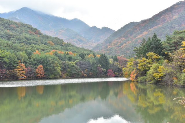 Sejo-gil Trail (세조길) núi  Songnisan (속리산국립공원 – 충청북도)