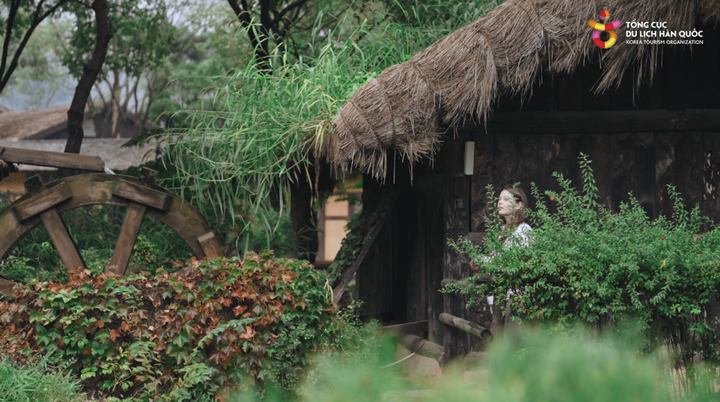 Tour chữa lành trong một ngày ở Gangwon (강원도)