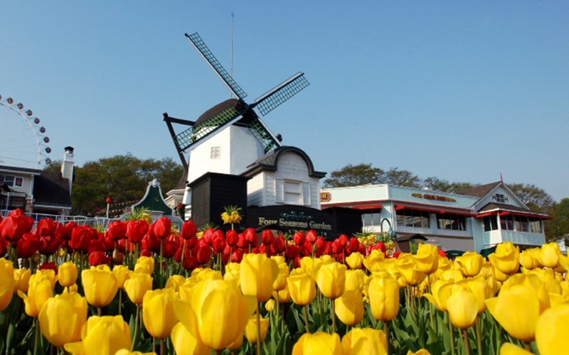 Lễ hội hoa Tulip – Tận hưởng bầu không khí mùa xuân đầy màu sắc