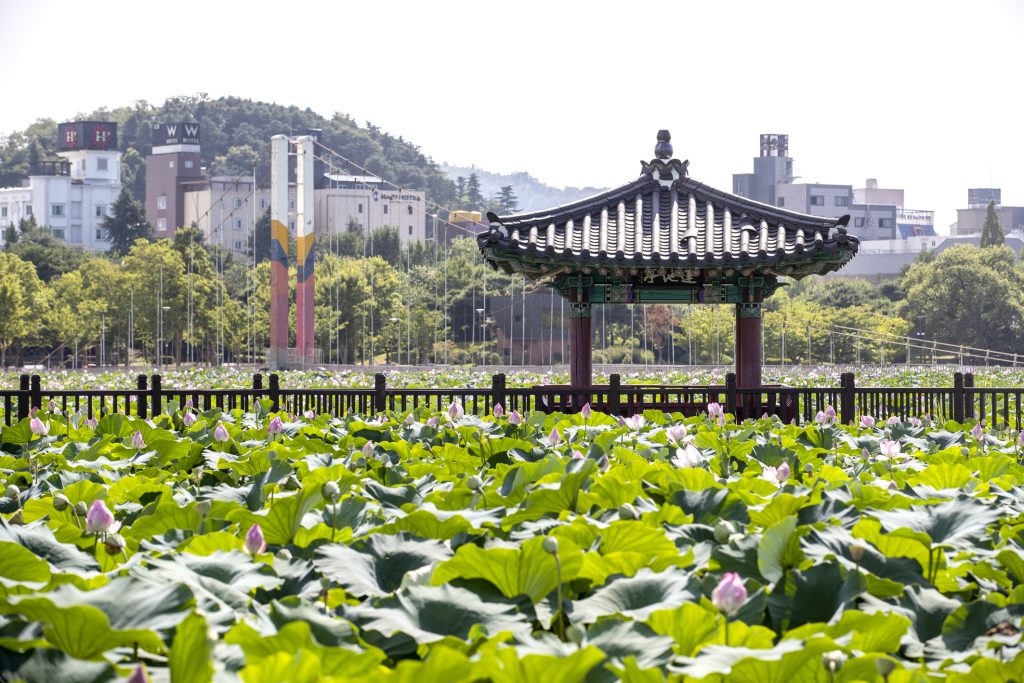 Tới địa điểm ‘hot’ nhất Jeonju lưu giữ những bức ảnh “để đời”